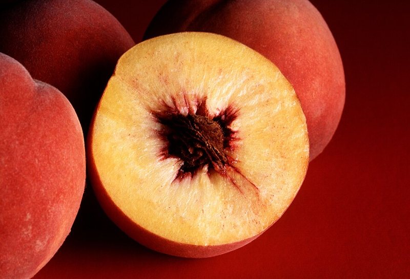 Peach — Prunus persica